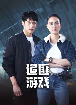 追匪游戏 第2集