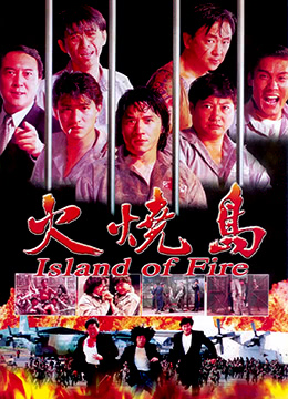 火烧岛 完整版